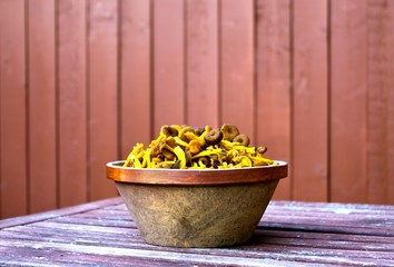 Stoneware bowl with fresh funnel chanterelles in fall.