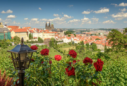 The view on the Prague's gothic Castle