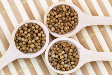 Coriander seeds on wooden spoons