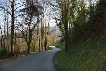 Fototapeta premium Strada di campagna