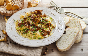Traditional scrambled eggs with fresh chanterelle