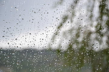 Raindrops on window glass