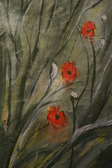 Three Poppies