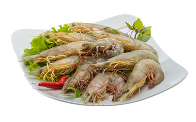 Raw tiger shrimps