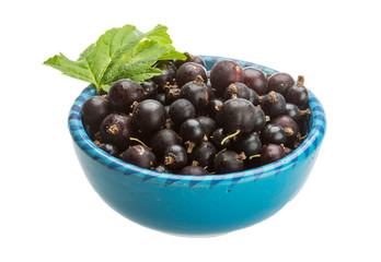 Black currant