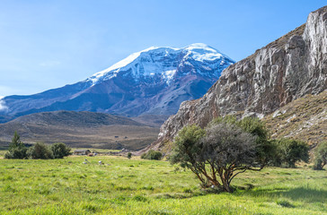 Chimborazo volcano at dawn on a sunny day