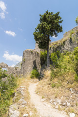 Fototapeta na wymiar Old fortress in the mountains. Kotor. Montenegro