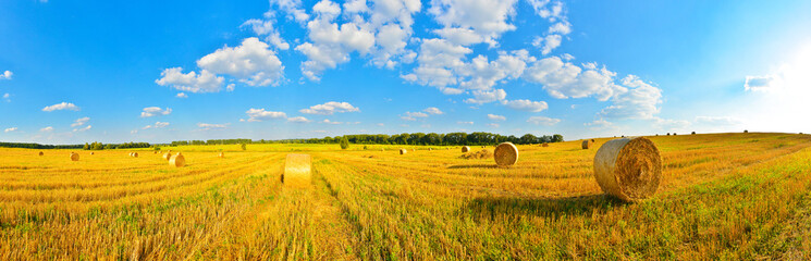 Summer country