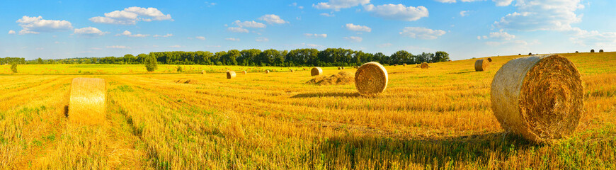 Harvest background