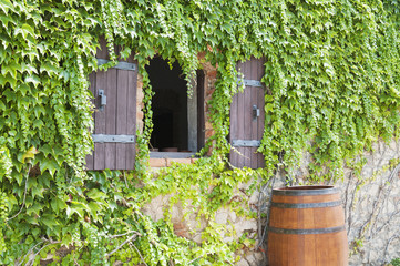 Old-fashioned stone wall