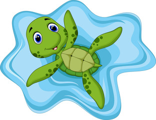 Cute turtle cartoon