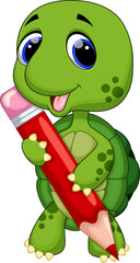 Obraz premium a cute turtle with color pencil