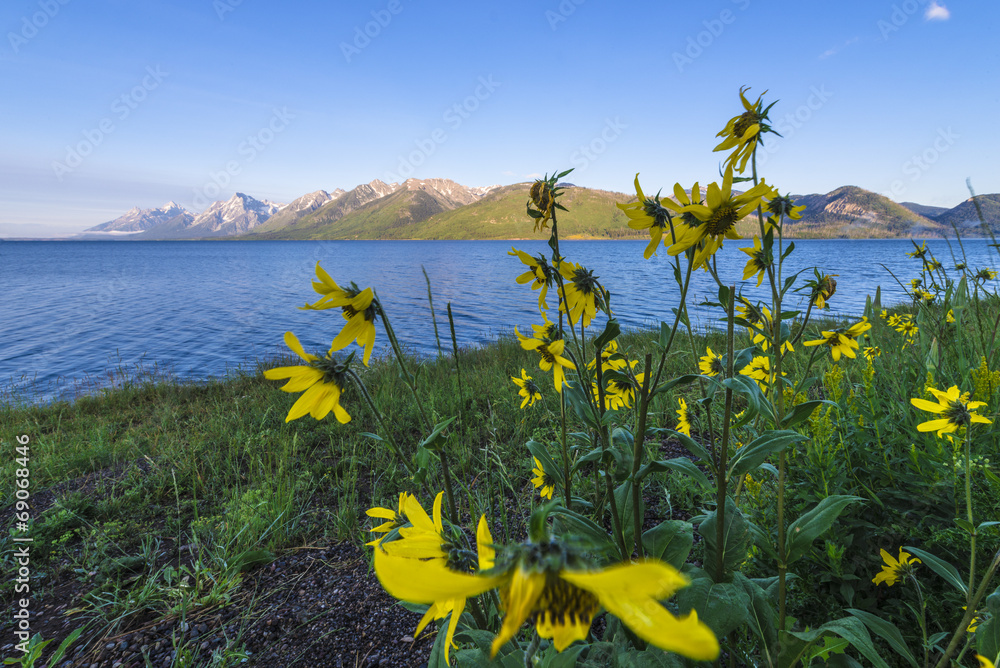 Wall mural Jackson Lake Wyoming