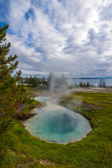 West Thumb Geyser Basin Yellowstone