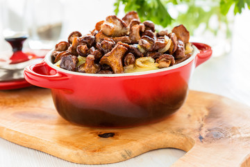 Chanterelle mushrooms with boiled potatoes in a pot