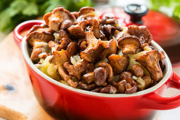 Chanterelle mushrooms with boiled potatoes in a pot