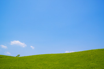 青空と丘