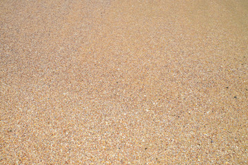 Fototapeta na wymiar Beach sand background. Wave and sand border.