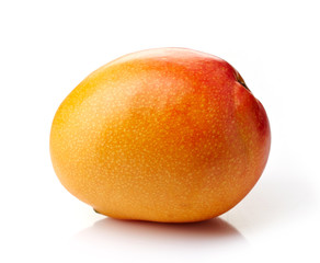 Mango fruit