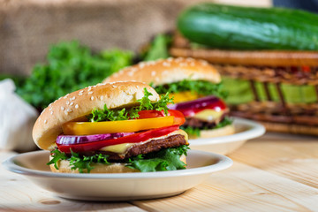 homemade hamburger with fresh vegetables, close up