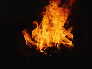 Fototapeta premium coal fire