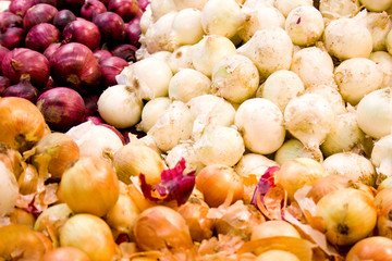 Obraz na płótnie Canvas Assorted farm fresh organic onions