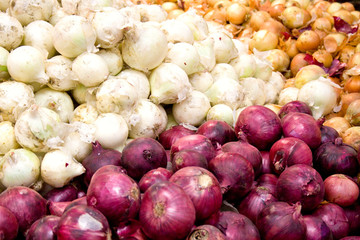 Assorted farm fresh organic onions