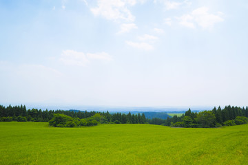 初夏の高原