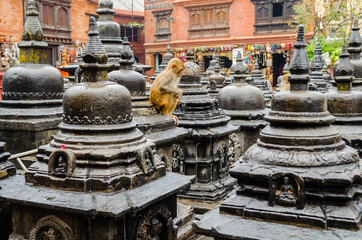 Fototapeta na wymiar Swayambhunath stupa in Kathmandu