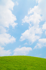 Fototapeta premium 青空と草原