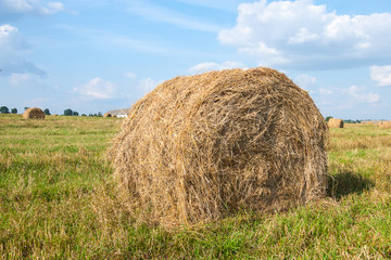Haystacks in the field