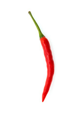 Chilli isolated on white