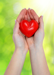 heart in hands on green natural background