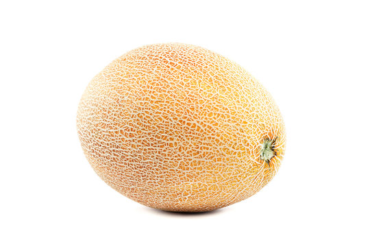 Melon isolated on a white background.