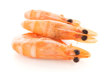 Obraz na płótnie Canvas Three shrimps
