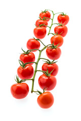 Tomato isolated on white