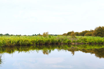 green coastline of Briere Marsh, France