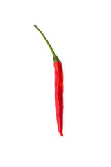Chilli isolated on white