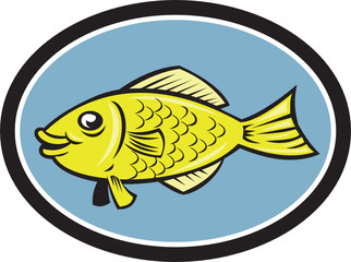 Gourami Fish Side View Oval Cartoon