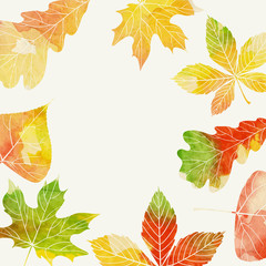 Autumn Background With Leaves