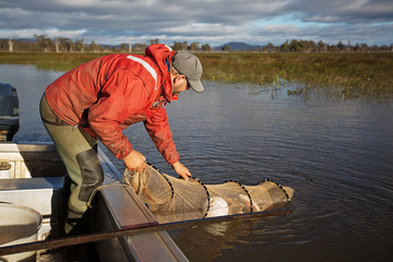 Eel Fisherman