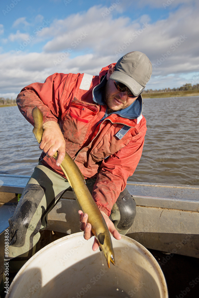 Sticker Eel Fisherman