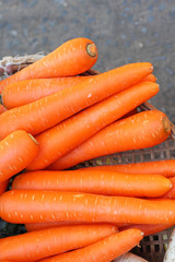 Close-up of the fresh carrots.