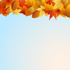 Fototapeta na wymiar осенний фон с желтыми листьями