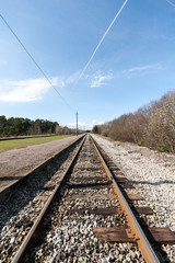 Fototapeta na wymiar country railroad in forest