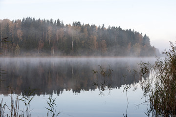 misty morning at the lake in country