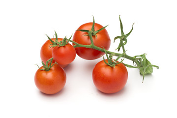 tomato on the white background