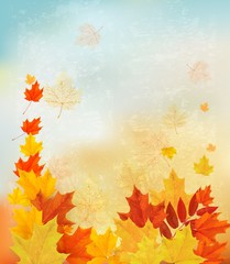 Obraz na płótnie Canvas Autumn background with colorful leaves. Back to school Vector il