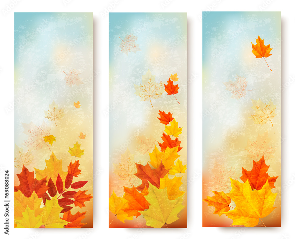 Poster three abstract autumn banners with color leaves. vector