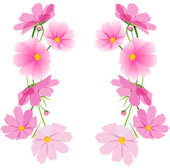 秋桜　コスモス　フレーム